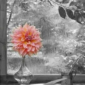 Meet your Posher, Joanne